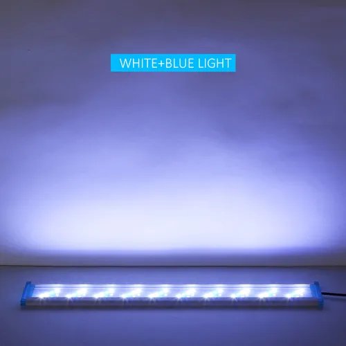 led rump 30cm/40cm bleu&blanc