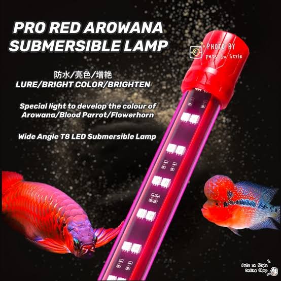 led tube 120cm blanc