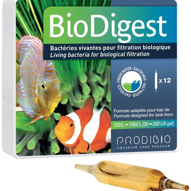 bacterie 1 ampoule 120-1000 litre