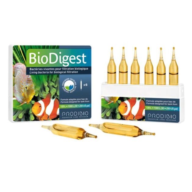 bacterie 30 ampoules