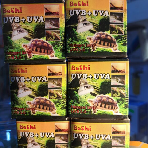 lamp uv 25w/50w/100w