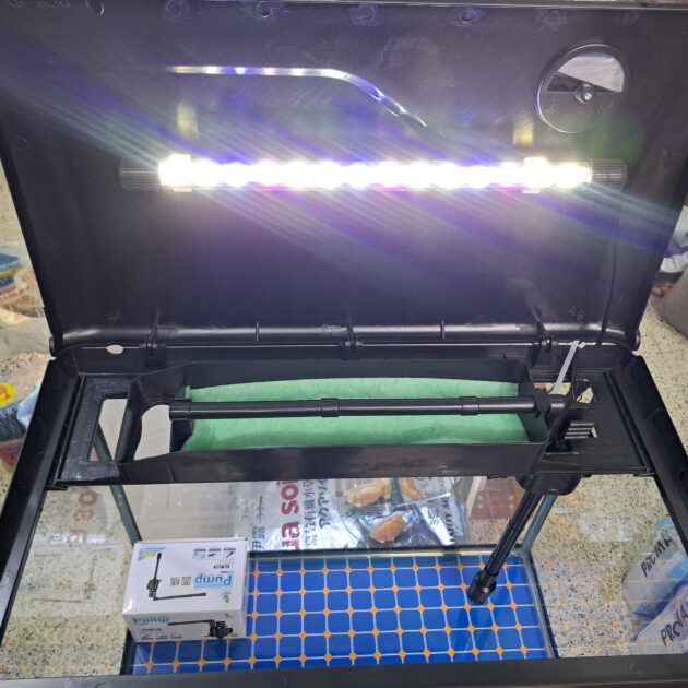 AQuarium 90 Litre importation