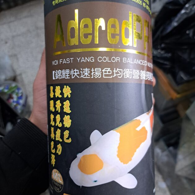 Adered pro koi&gold fish